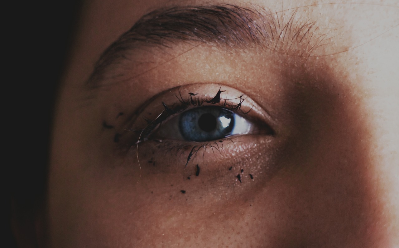 Eye Look Eyebrow Make Up Mascara - Abbat1 / Pixabay