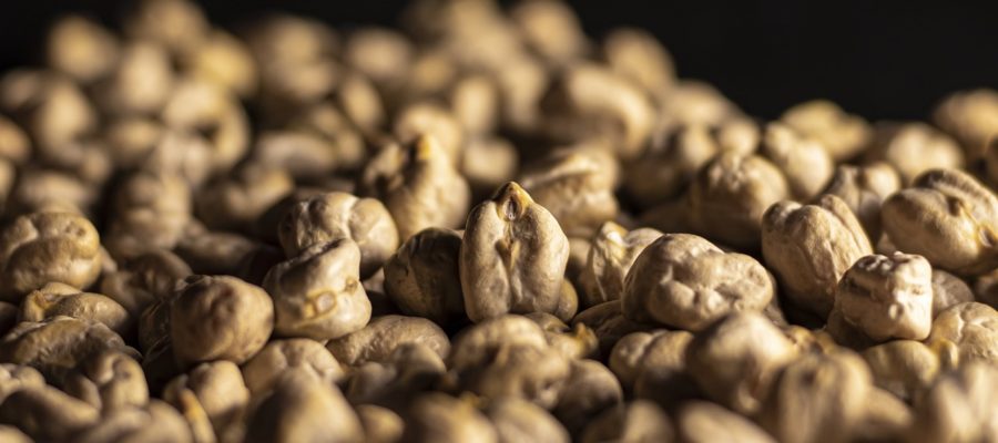 Gram Legume Family Indian Asia  - soumen82hazra / Pixabay