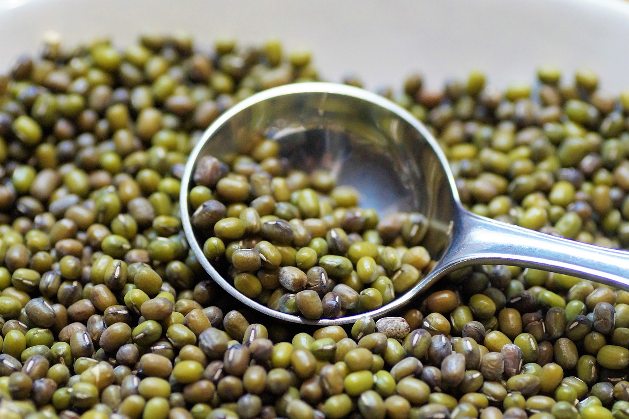 Mungo Beans Vigna Gold Legumes - ivabalk / Pixabay