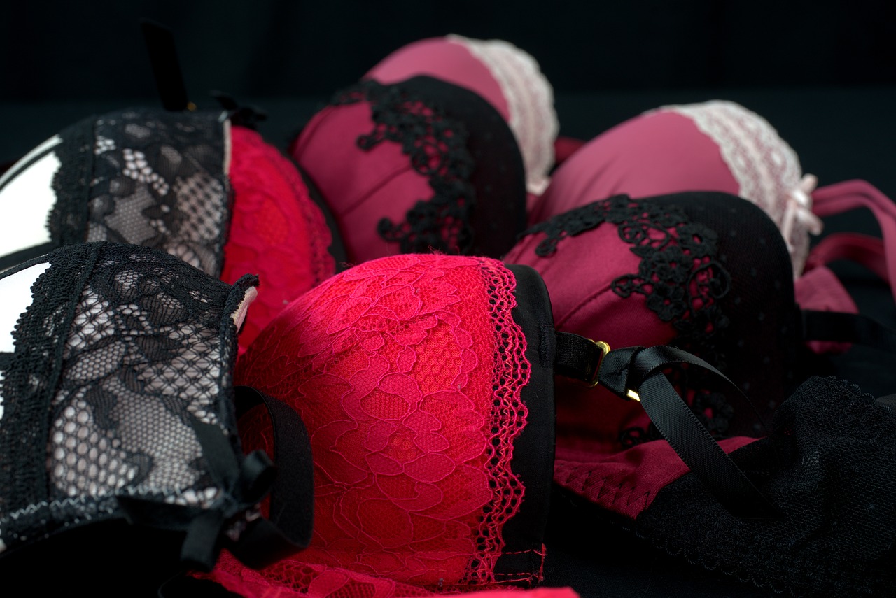 Bra Underwear Lingerie Fashion  - webandi / Pixabay