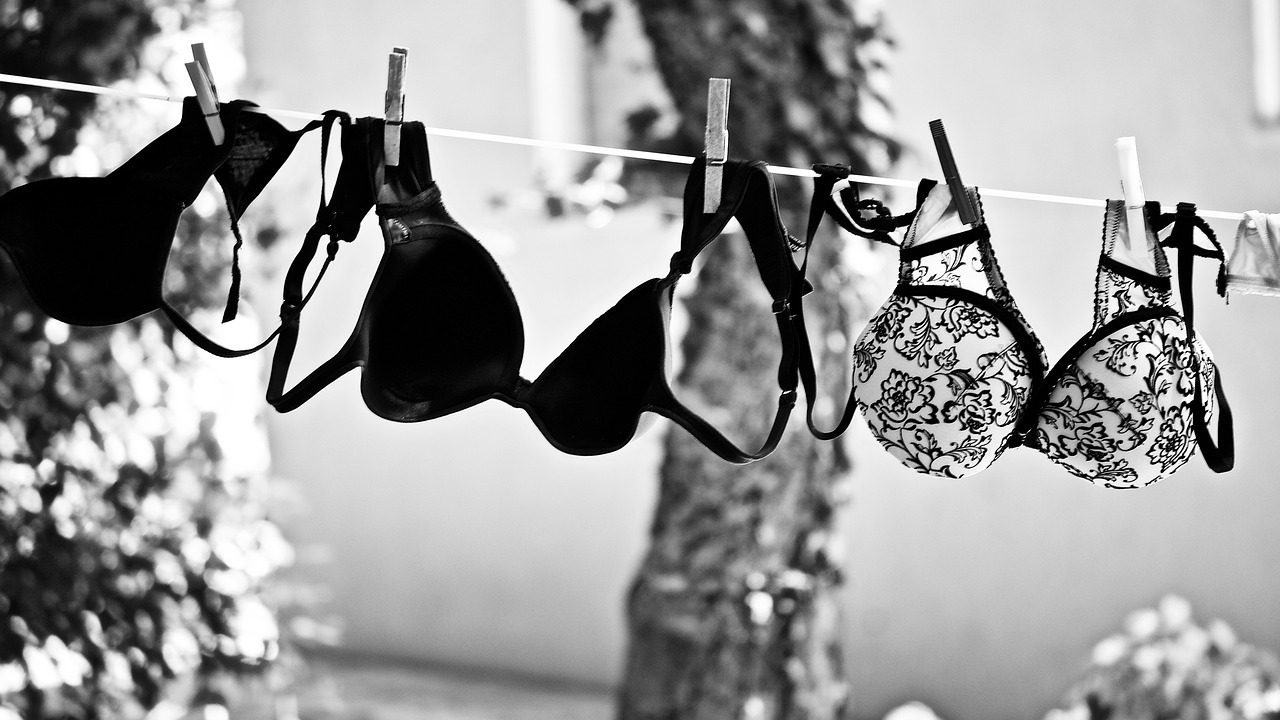 Laundry Airy Clean Clothing Bra  - sweetlouise / Pixabay