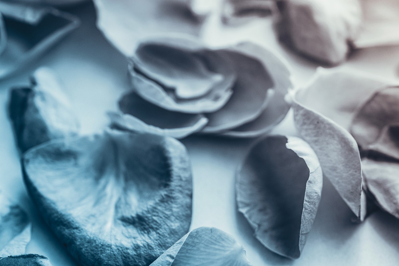 Leaf Blue Leaves Nature Flower  - AJS1 / Pixabay